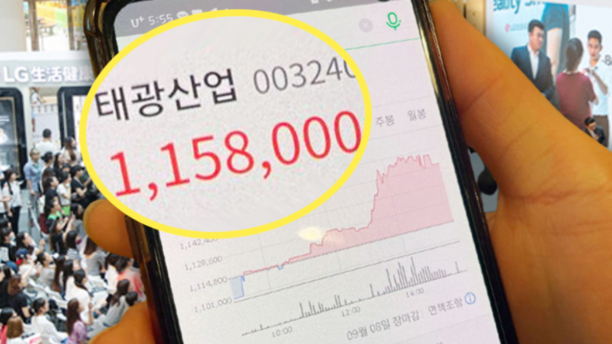 산업 주가 태광 태광산업 기업실적 산업 주가 태광 제2의 BYC